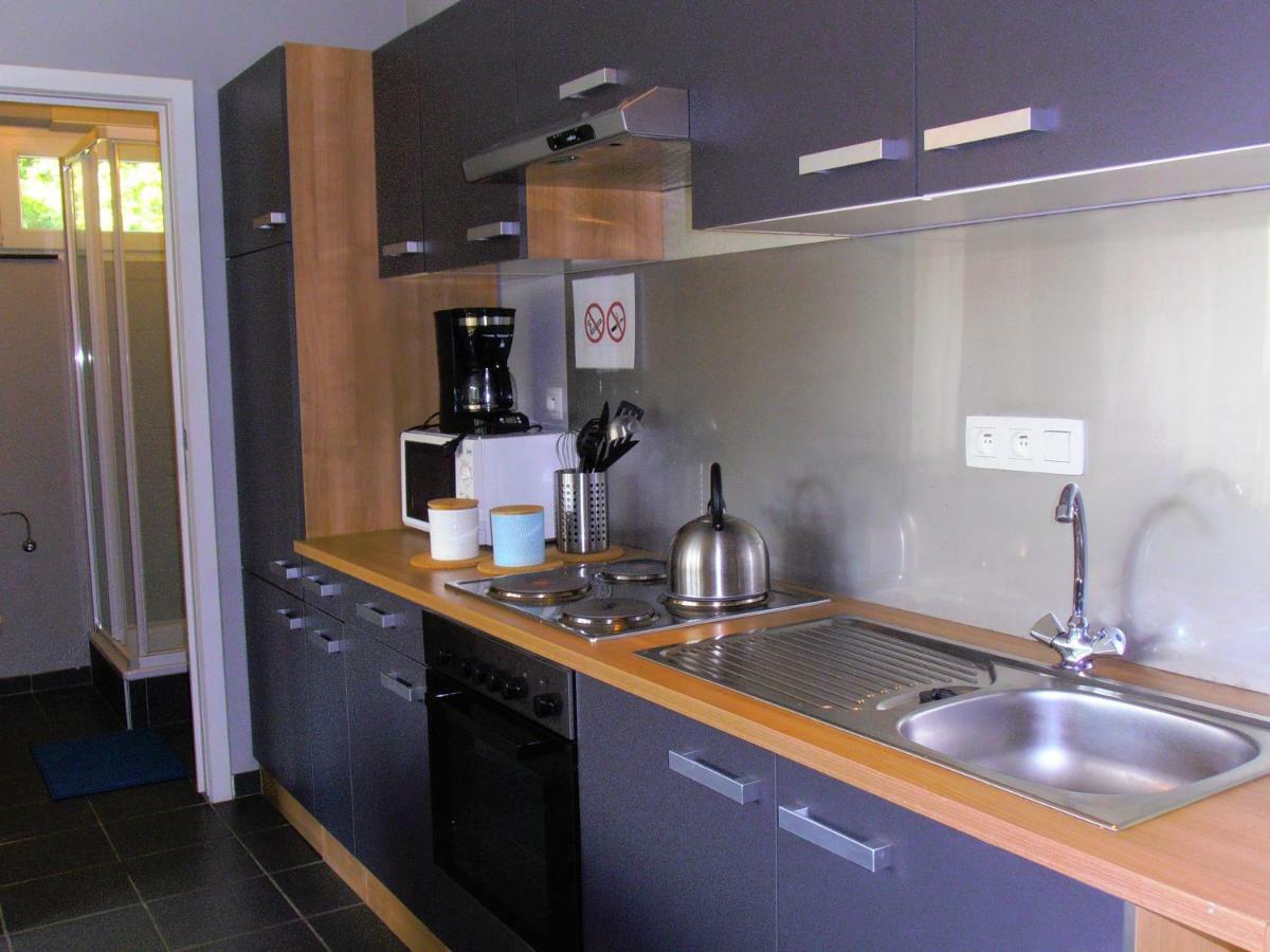 Studio Le Vedeur Avec Balcon Vue Sur Riviere Durbuy Zewnętrze zdjęcie